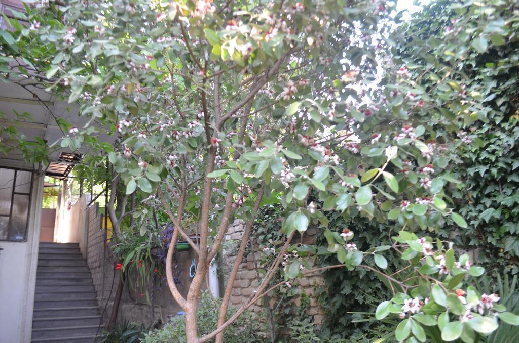 Alex'S Cosy Guesthouse Tbilisi ภายนอก รูปภาพ