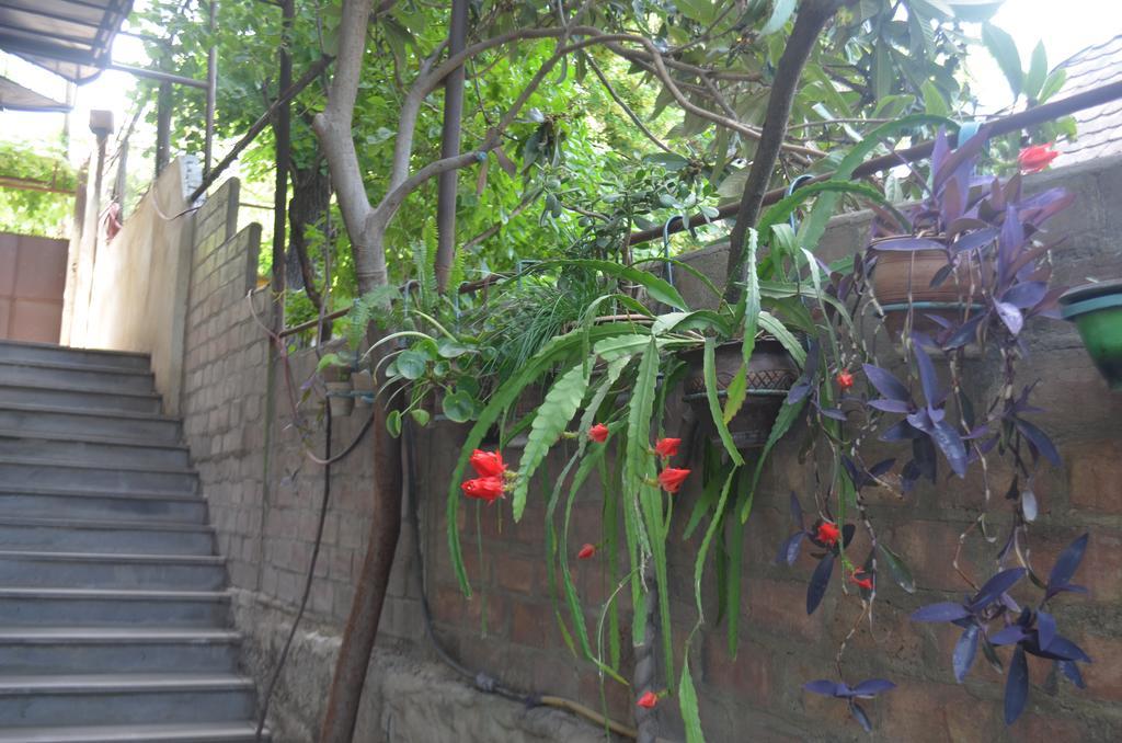 Alex'S Cosy Guesthouse Tbilisi ภายนอก รูปภาพ