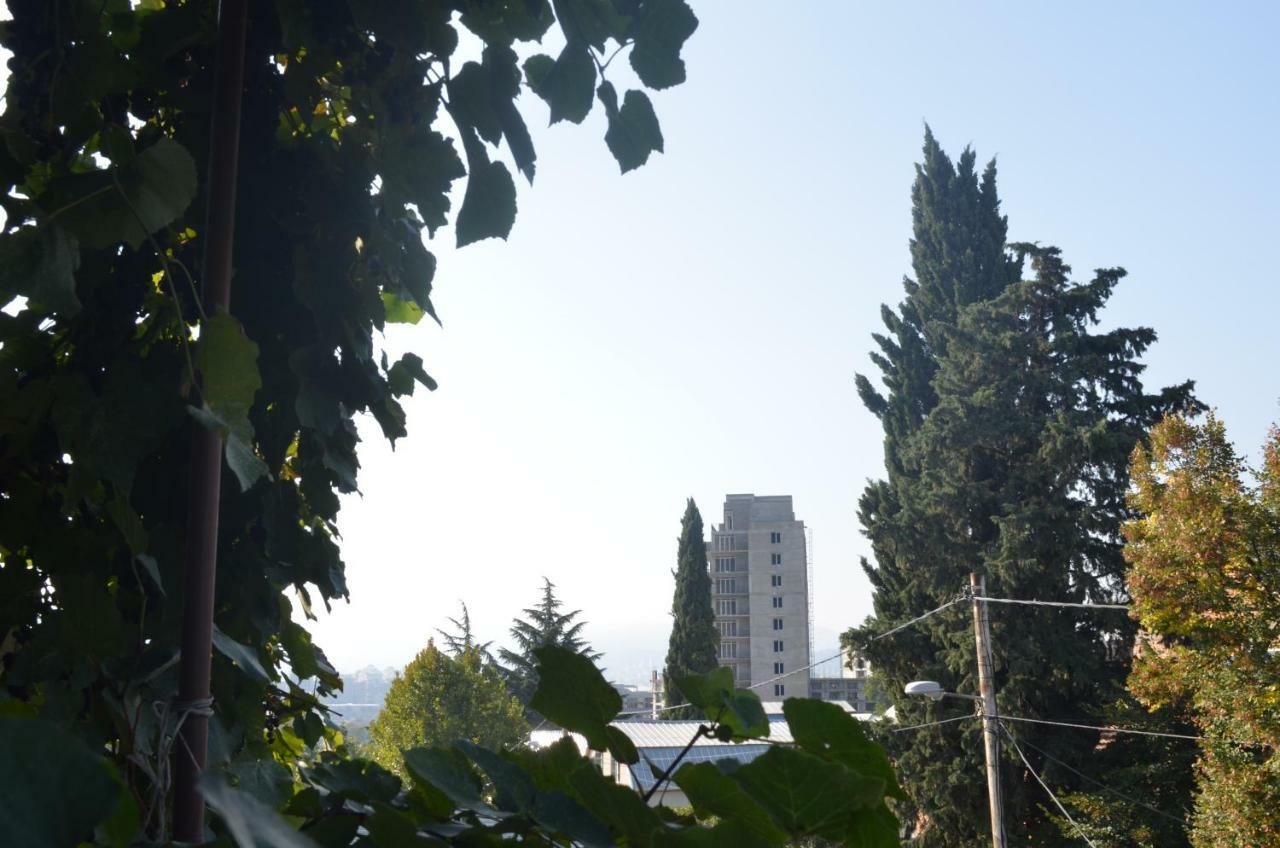 Alex'S Cosy Guesthouse Tbilisi ภายนอก รูปภาพ
